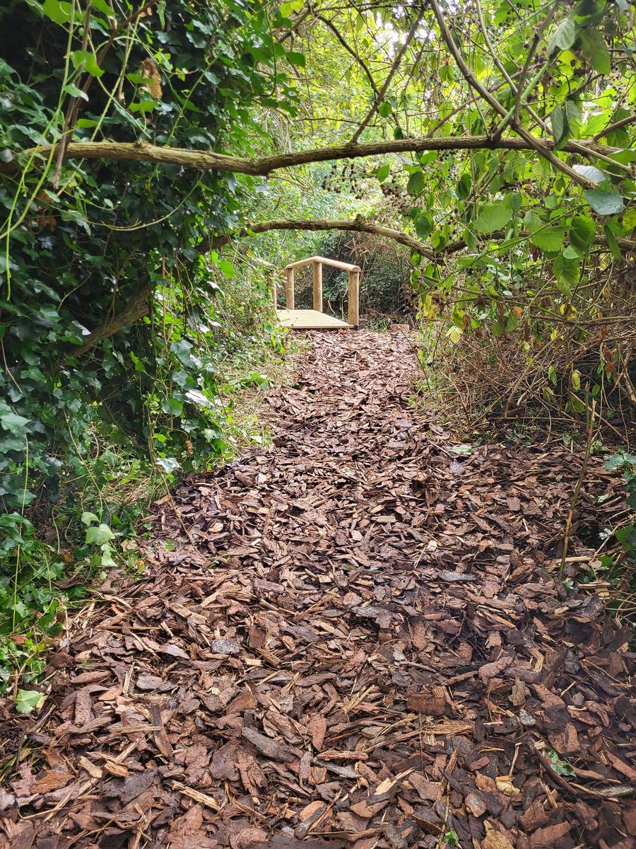 Ben Brice and Ricky James, founders of Roundwood Solutions