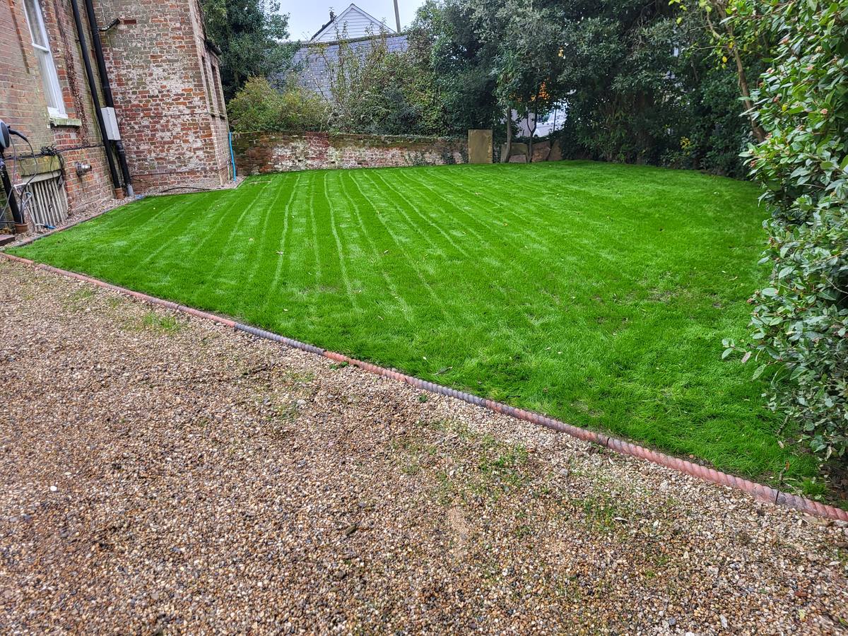 Fresh lawn installation